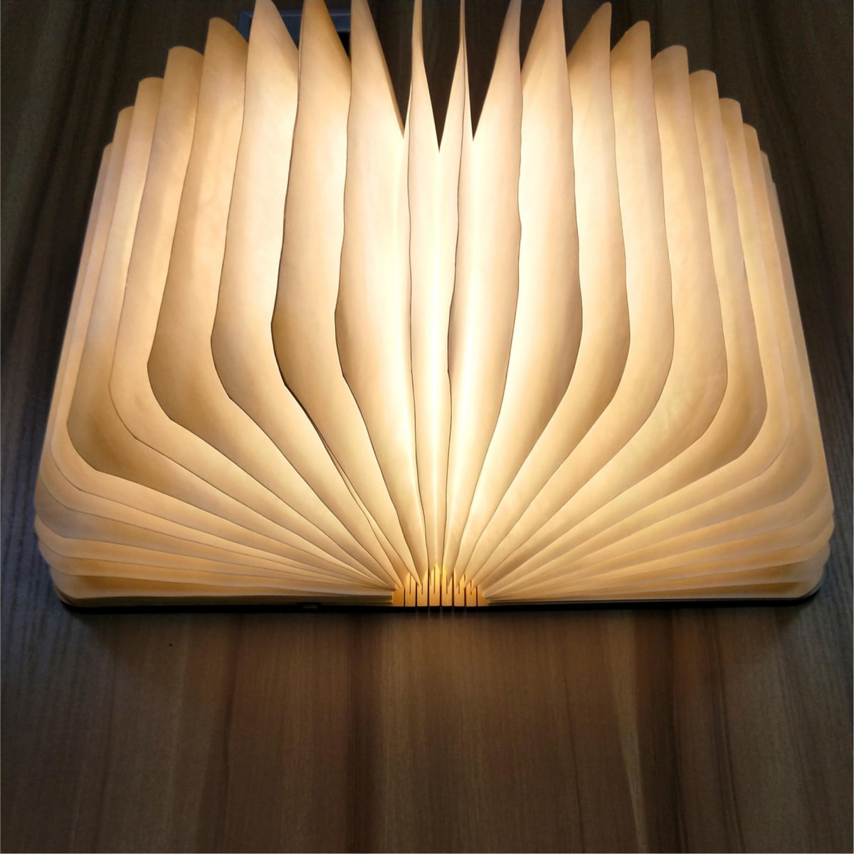 Design Deko-Leuchte Book, Seiten werden aufgefächert zum Lampenschirm, Walnussholz, Papier